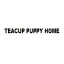 Teacup Puppy Home logo